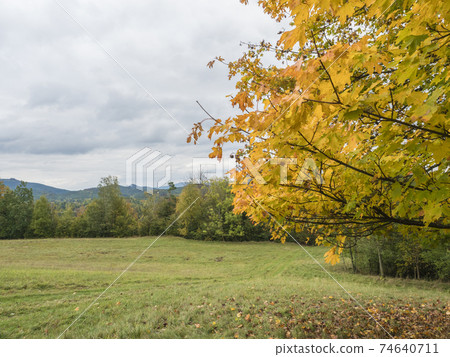 Colorful yellow, green, orange maple tree branches with meadow, forest and hills. Autumn landscape in Luzicke hory Lusatian Mountains, Czech Republic. Colorful yellow, green, orange maple tree branches with meadow, forest and hills. Autumn landscape in Luzicke hory Lusatian Mountains, Czech Republic. 74640711