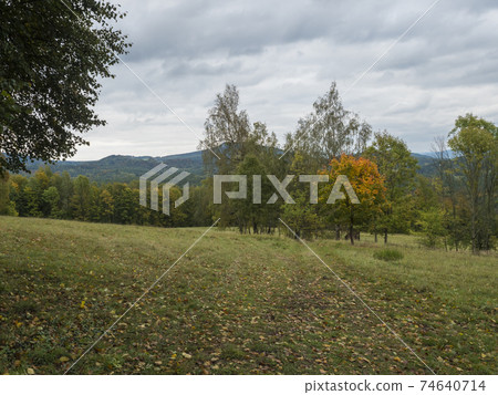 Meadow with autumn colorful forest, trees and hills, moody sky. Landscape in Luzicke hory Lusatian Mountains, Czech Republic. Meadow with autumn colorful forest, trees and hills, moody sky. Landscape in Luzicke hory Lusatian Mountains, Czech Republic. 74640714
