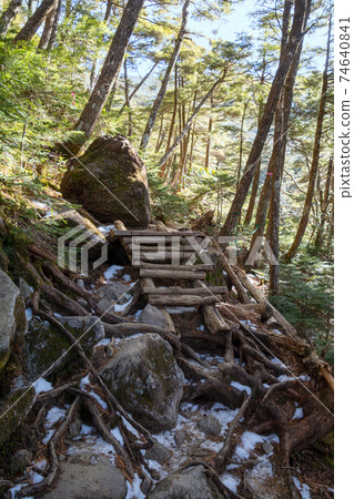 一個可愛的木製手工梯子梯子，在多雪的Yatsugatake森林裡的一條山路上維持著。 74640841