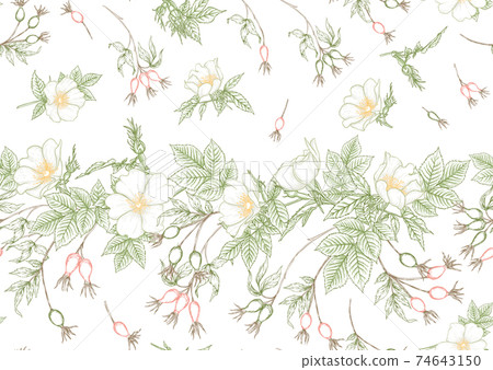 Rose hips with flowers and berries seamless pattern Rose hips with flowers and berries seamless pattern 74643150
