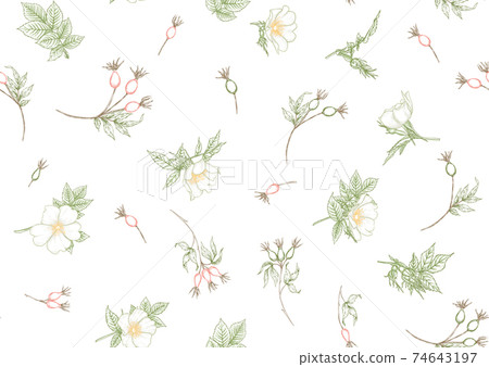 Rose hips with flowers and berries seamless pattern Rose hips with flowers and berries seamless pattern 74643197