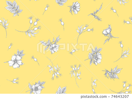 Rose hips with flowers and berries seamless pattern 74643207