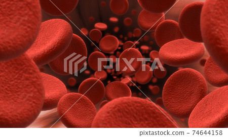 Blood cells flow Blood cells flow 74644158
