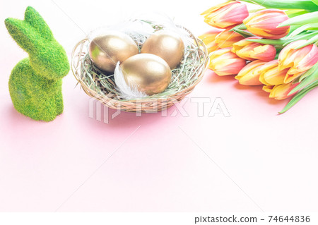 Easter eggs Golden color in basket with spring tulips, white feathers on pastel pink background in Happy Easter decoration. Festive decoration. Easter eggs Golden color in basket with spring tulips, white feathers on pastel pink background in Happy Easter decoration. Festive decoration. 74644836