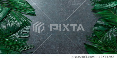Tropical leaves on dark blue background copy space 74645268