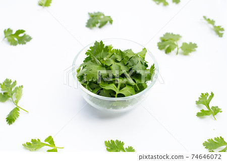 Coriander leaves on white background. Coriander leaves on white background. 74646072