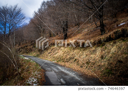 Mountain asphalt road in nature and trees Mountain asphalt road in nature and trees 74646397