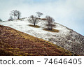 Panorama with trees in the mountains with dusting of snow 74646405