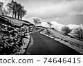 Mountain asphalt road in nature and trees 74646415