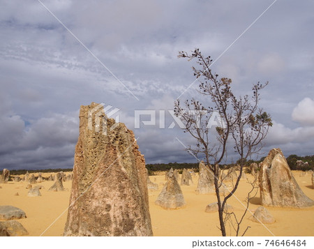 Perth Pinnacles Perth Pinnacles 74646484