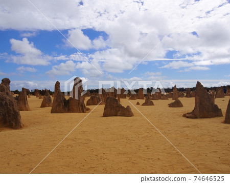 Perth Pinnacles Perth Pinnacles 74646525