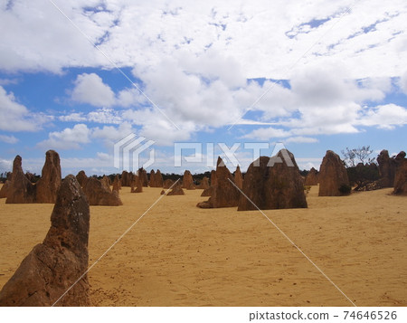 Perth Pinnacles Perth Pinnacles 74646526