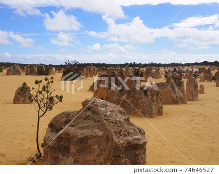 Perth Pinnacles Perth Pinnacles 74646527