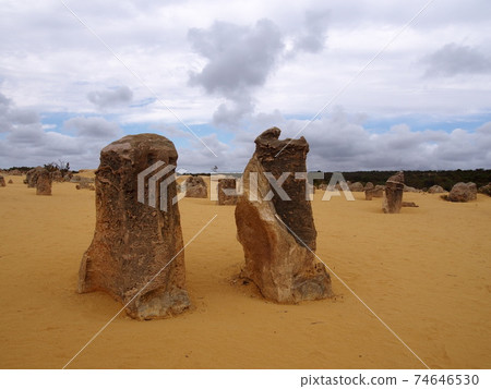 Perth Pinnacles Perth Pinnacles 74646530