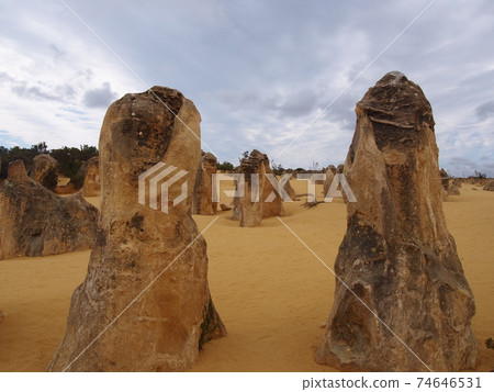 Perth Pinnacles Perth Pinnacles 74646531