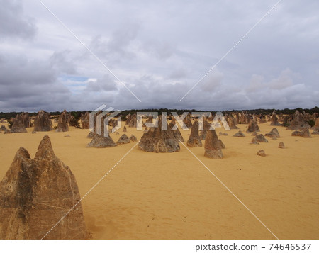 Perth Pinnacles Perth Pinnacles 74646537