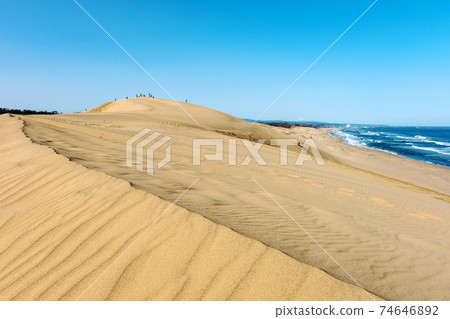 沙塵暴風冠 沙塵暴風冠 74646892