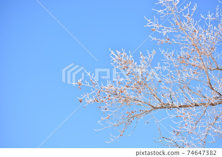 Winter frost 74647382