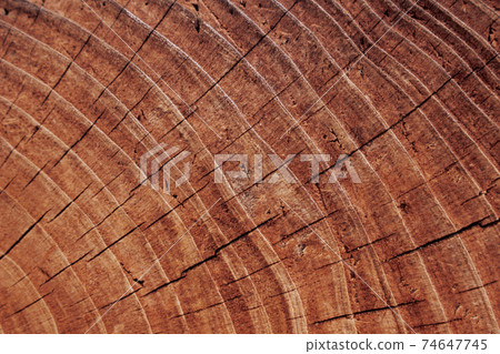 Background_Back_Texture_Wood grain_063_Brown Background_Back_Texture_Wood grain_063_Brown 74647745