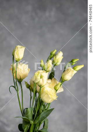 Light eustomas on a gray background, Copy space. Blur and selective Light eustomas on a gray background, Copy space. Blur and selective 74648465