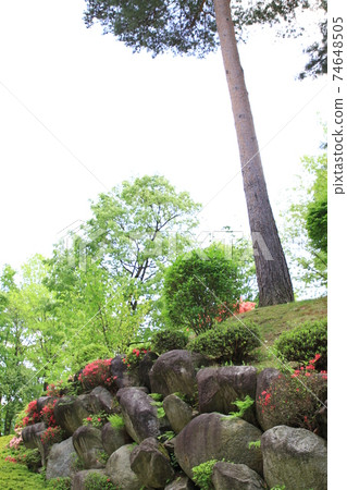 7D Kantenpapa Garden 2018 Part 39 74648505