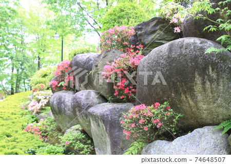 7D Kantenpapa Garden 2018 Part 41 7D Kantenpapa Garden 2018 Part 41 74648507