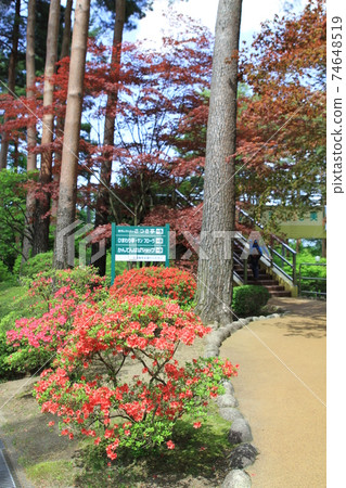 7D Kantenpapa Garden 2018第53部分 7D Kantenpapa Garden 2018第53部分 74648519