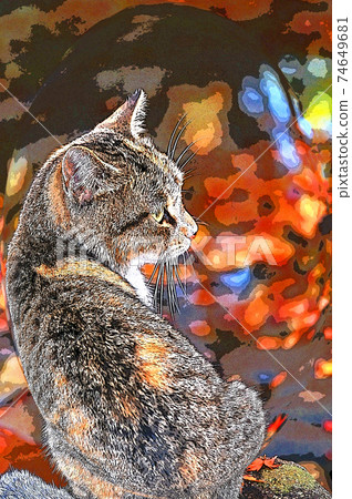 Adorable cat, its quiet days 74649681