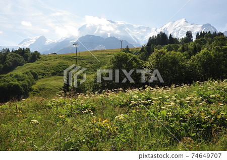 Mont Blanc and flower garden Mont Blanc and flower garden 74649707