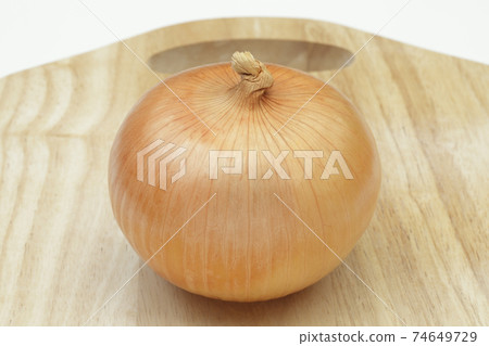 onion onion 74649729