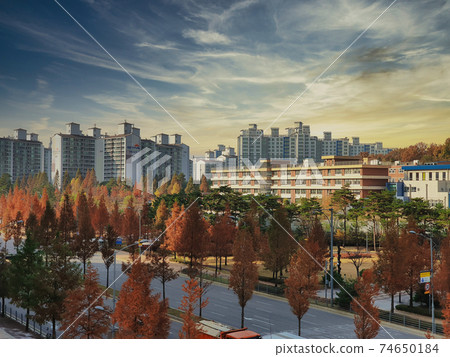 坡州市美麗的秋天景色 74650184