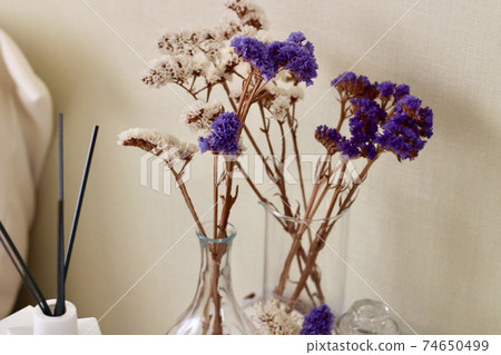 Dried white and purple statice flowers in a vase in the room 74650499