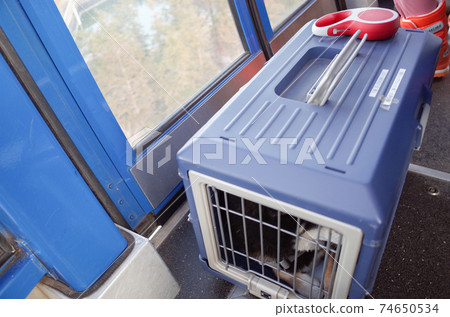 Black Shiba Inu in the carry of the ropeway 74650534