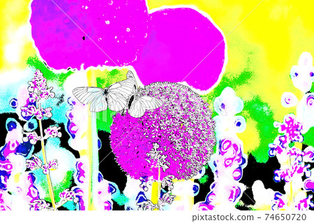 Courtship of the butterfly and the world of fairy tale Courtship of the butterfly and the world of fairy tale 74650720