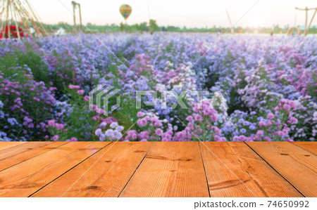 perspective wooden board over flower garden 74650992