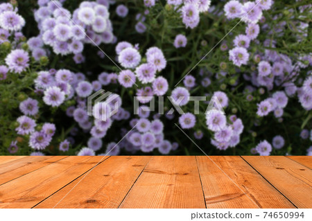 perspective wooden board over blurred flower garden perspective wooden board over blurred flower garden 74650994