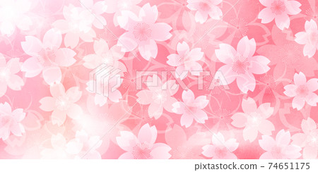 Sakura spring flower background 74651175