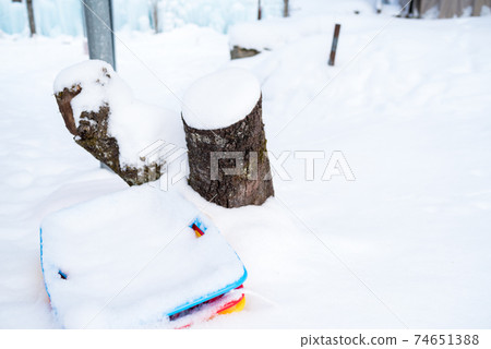 [零森林]清晨開放空間 74651388