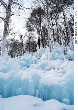 [零森林]清晨的冰藝術 74651390
