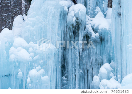 [Subzero Forest] Early morning ice art 74651485