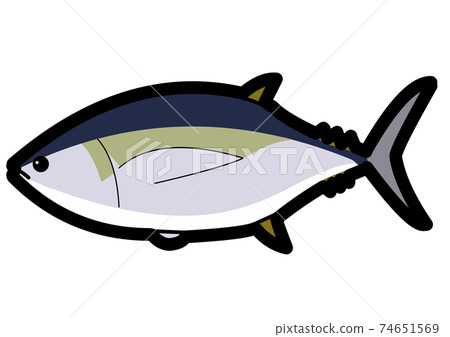 Illustration of yellowfin tuna - Stock Illustration [74651569] - PIXTA