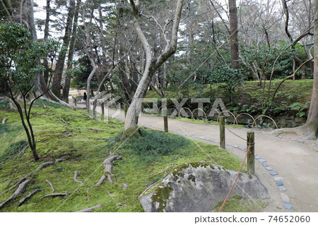 Okayama Korakuen in winter Okayama Korakuen in winter 74652060