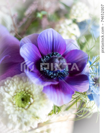 Flower arrangement of anemone 74652807