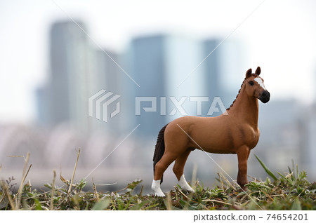 大阪馬與大前線 74654201