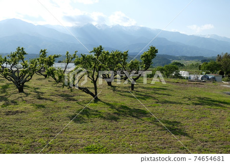 XT2 Nakagawamura Imanishiki Part 10 XT2 Nakagawamura Imanishiki Part 10 74654681