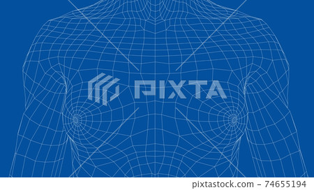 Wireframe female breast. Close-up view Wireframe female breast. Close-up view 74655194