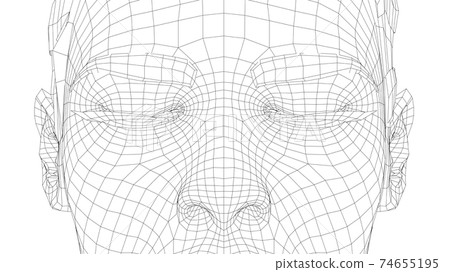 Wireframe portrait of a young beautiful girl Wireframe portrait of a young beautiful girl 74655195