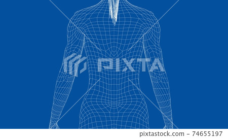 Wireframe back of a young woman 74655197
