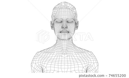 Wireframe portrait of a young beautiful girl 74655200