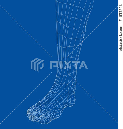 Wireframe leg. Close-up view Wireframe leg. Close-up view 74655208